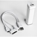 Powerbank mit 3in1-Kabel